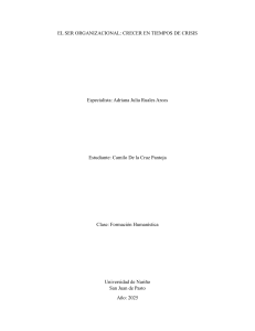Ser Organizacional: Crecimiento en Crisis - Ensayo