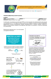 Examen Lengua Castellana Grado 11: Comprensi&oacute;n Lectora ICFES