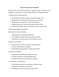 Plan de Protecci&oacute;n del Trabajador: Seguridad y Salud Laboral