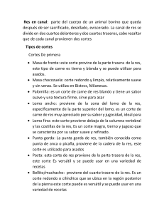 Cortes de Carne de Res: Gu&iacute;a Completa