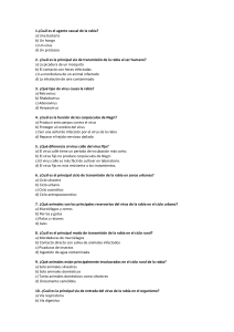 Examen sobre la Rabia: Preguntas y Respuestas