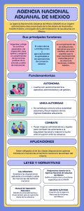 Agencia Nacional de Aduanas de México (ANAM)