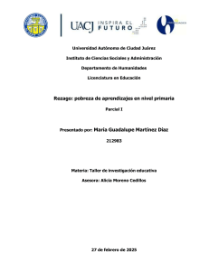 Rezago Educativo en Primaria: Investigaci&oacute;n y Estrategias