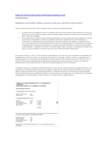 Embalsamamiento: Proceso y Técnicas Anatómicas