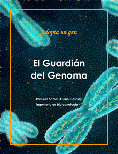 Gen p53: El Guardián del Genoma