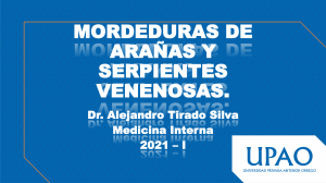 Mordeduras de Arañas y Serpientes Venenosas: Guía Médica
