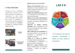 Metodología 5S: Orden y Limpieza para la Productividad