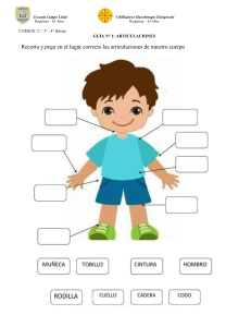 Guía de Articulaciones del Cuerpo Humano para Primaria