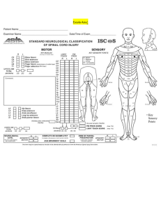 ASIA Spinal Cord Injury Assessment Form