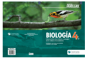Biolog&iacute;a 4: Intercambio de Materia y Energ&iacute;a