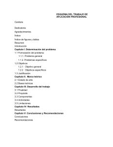 Esquema Trabajo Aplicación Profesional: Guía y Estructura