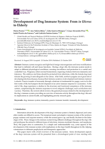 Dog Immune System Development: From In Utero to Elderly