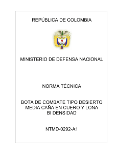 Est&aacute;ndar T&eacute;cnico Colombiano para Botas de Combate NTMD-0292-A1