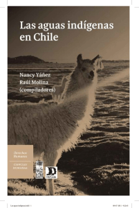 Aguas Indígenas en Chile: Derechos y Conflictos