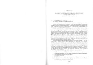 Estructuras Administrativas: Jerarqu&iacute;a y Divisionalizaci&oacute;n