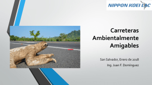 Carreteras Ambientalmente Amigables: Presentaci&oacute;n