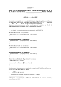 Modelo Acta Instalación CSST - Seguridad Laboral