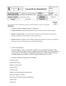 Evaluaci&oacute;n de Higiene Laboral: Pr&aacute;cticas, Riesgos y 5S