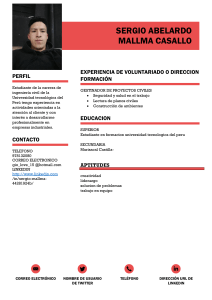 Currículum Vitae Sergio Mallma - Ingeniero Civil en Formación