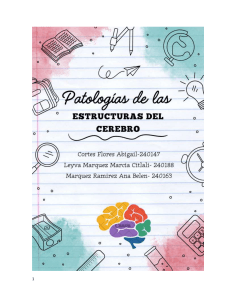 Patolog&iacute;as Cerebrales: Esquizofrenia, Depresi&oacute;n y M&aacute;s
