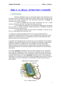 celulas  de una forma divertida