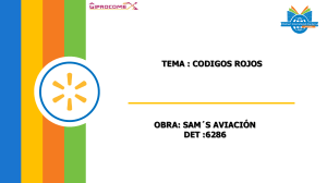 Informe de Seguridad: Códigos Rojos en Sam's Aviación