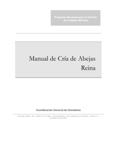 Manual de Cr&iacute;a de Abejas Reina: Control de Abejas Africanas