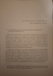 Estructura y Organización del Transporte Aéreo