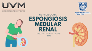 Espongiosis Medular Renal: Presentaci&oacute;n M&eacute;dica Detallada