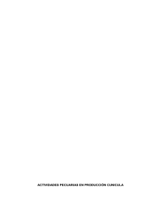 Producción Cunícola: Informe de Práctica Agropecuaria