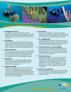 Underwater Photography Tips: Dive Responsibly & Conserve
