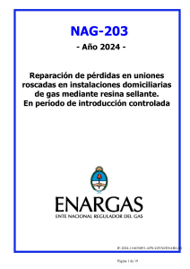 NAG-203: Reparaci&oacute;n de Fugas en Instalaciones de Gas