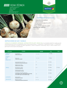 Fungicida NATIVO® SC: Ficha Técnica y Uso Agrícola