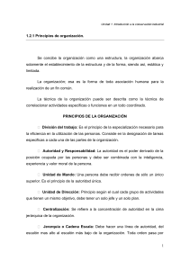 Principios de la Organizaci&oacute;n Industrial: Apuntes