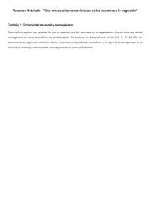 Neurociencia: Neuronas, Glía y Organización Cerebral