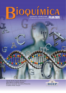 Bioquímica: Libro de Texto para Preparatoria
