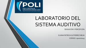 Informe de Laboratorio: Sistema Auditivo - Sensaci&oacute;n y Percepci&oacute;n