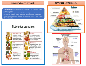 Nutrition, Food Pyramid, and Diabetes: A Healthy Guide