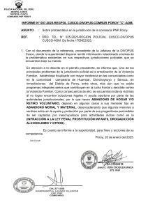 Informe Policial: Violencia Familiar en Poroy, Cusco