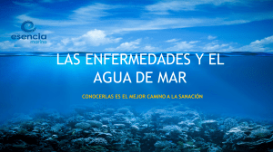 Agua de Mar y Salud: Beneficios y Enfermedades
