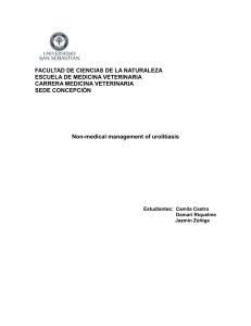 Urolitiasis: Manejo No Médico en Veterinaria