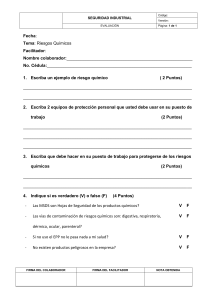 Evaluación Riesgos Químicos - Seguridad Industrial