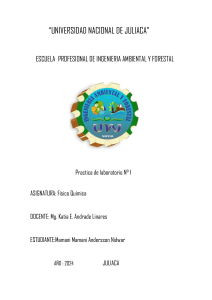 Práctica de Laboratorio Físico Química - UNJ