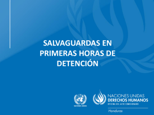 Salvaguardias en las Primeras Horas de Detención - Ley de Honduras