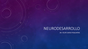 Neurodesarrollo: Etapas, Hitos y Plasticidad Neuronal