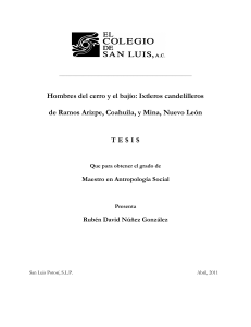 Tesis: Ixtleros Candelilleros de Coahuila y Nuevo Le&oacute;n
