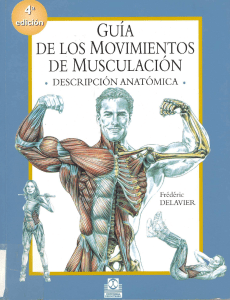 Gu&iacute;a de Movimientos de Musculaci&oacute;n: Descripci&oacute;n Anat&oacute;mica