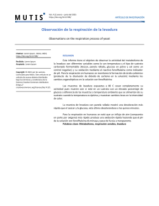 Respiraci&oacute;n de Levadura: An&aacute;lisis de Temperatura y Fuente de Carbono