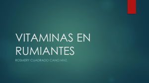 Vitaminas en Rumiantes: Una Gu&iacute;a Veterinaria