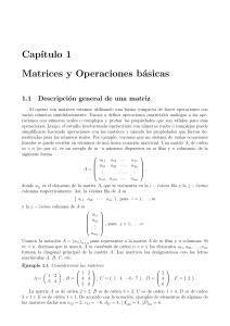 Matrices y Operaciones B&aacute;sicas: Introducci&oacute;n
